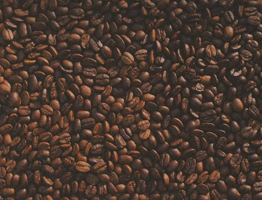 Boquete y el Volcán Barú: el terroir que hace único al café panameño